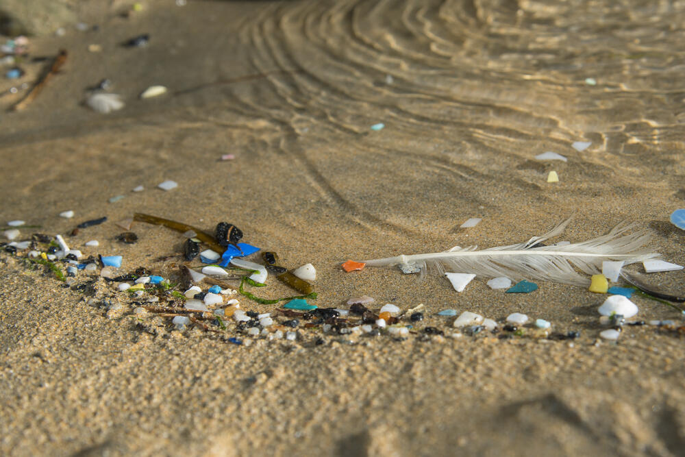 Sehen Sie selbst... © G. Wahl - stock.adobe.com